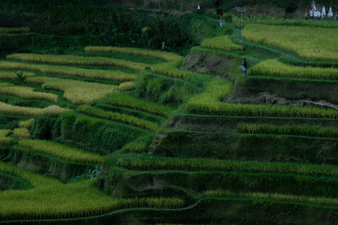 Revolut y Audi F1: Lecciones para negocios peruanos