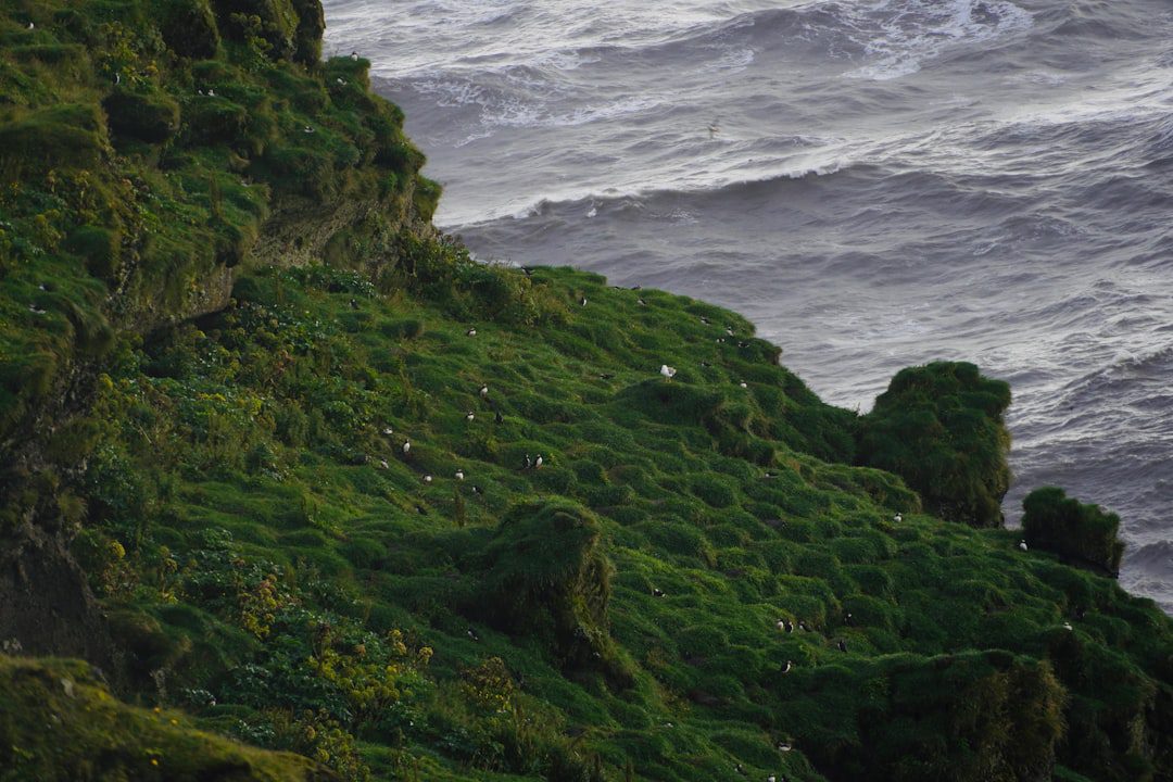Cambio Climático: Clave para tu Marca en Perú