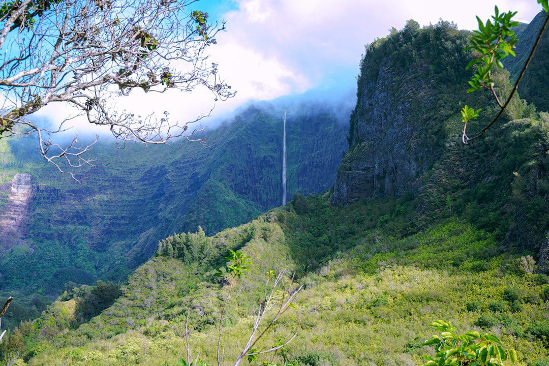 Domina tus datos: Del estrés al éxito empresarial