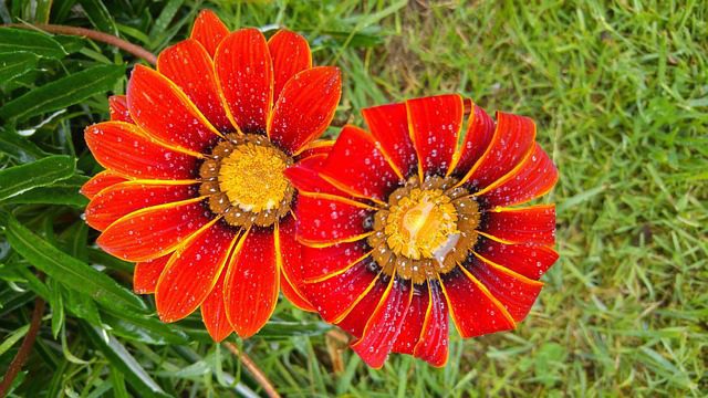 Marketing Experiencial: Lecciones de la Fusión Atresmedia-Last Lap