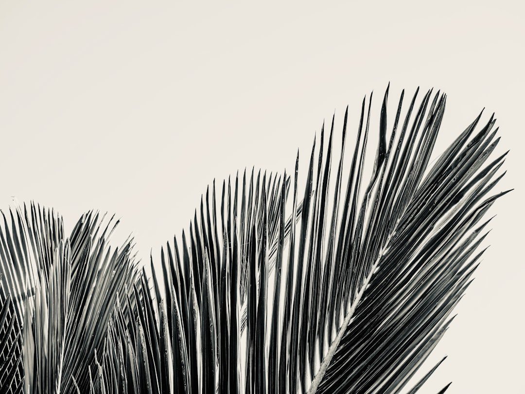 KPI: La Voz del CMO en el Marketing Peruano