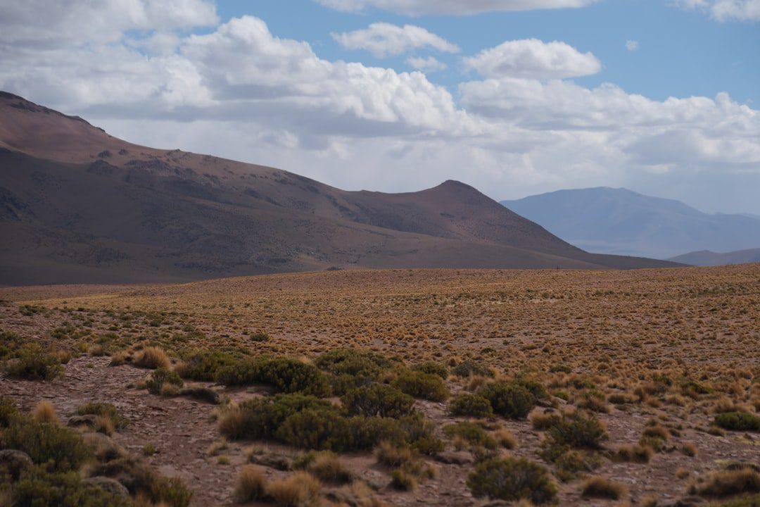 Relanzamiento de Marca: Claves para el Éxito en Perú