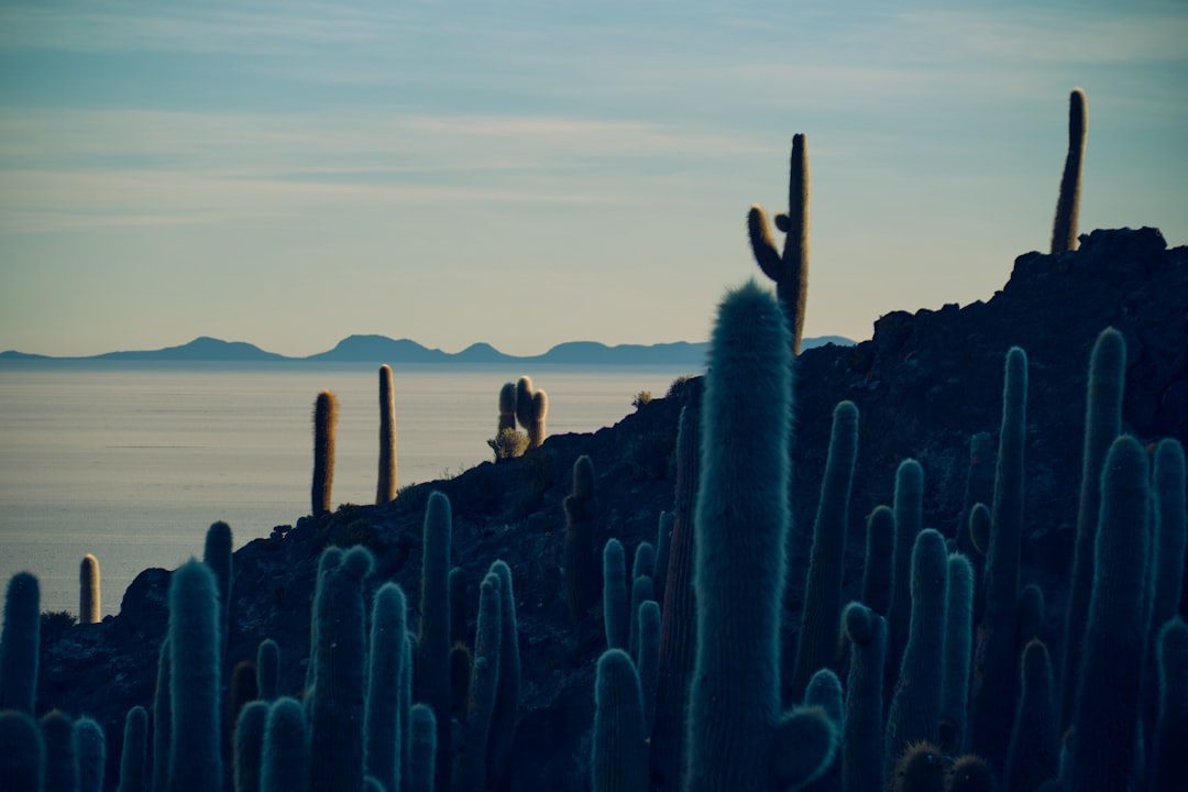 Expansión en Perú: Recluta Talento Estratégico