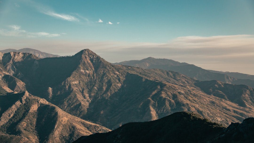 Google gana: ¿Qué implica para negocios peruanos?